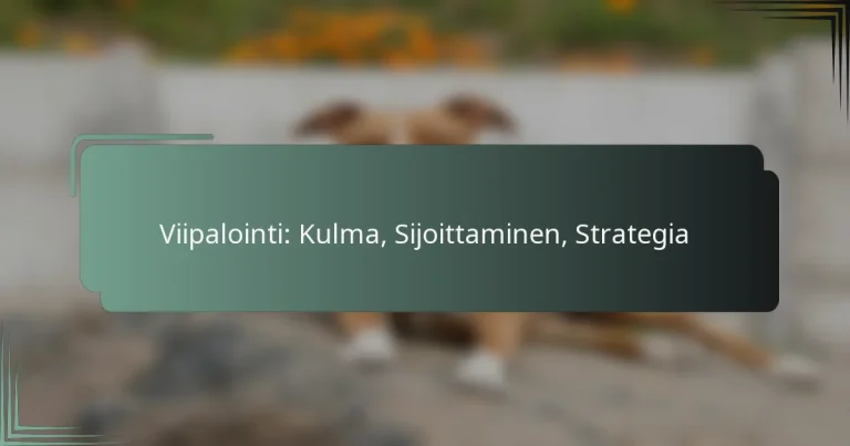 Viipalointi: Kulma, Sijoittaminen, Strategia